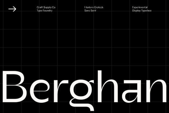 Berghan: A Modern Sans Serif That Elevates Real Business Branding