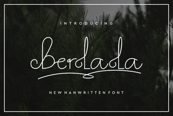 Berlala: A Bold Font for Business