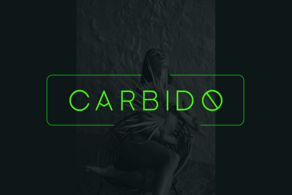 Carbido: A Bold Sans Serif for Real-World Design