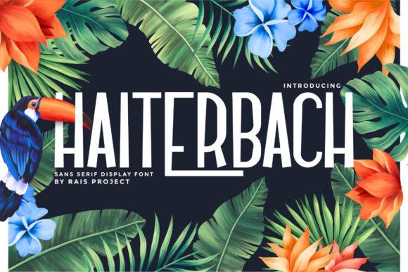Haiterbach: A Fresh Sans Serif for Digital Design